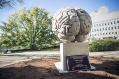 Large limestone sculpture of an anatomically correct human brain located on the Indiana University campus.